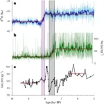 Grieman, M.M., Nehrbass-Ahles, C., Hoffmann, H.M. et al. Abrupt Holocene ice loss due to thinning and ungrounding in the Weddell Sea Embayment. Nat. Geosci. 17, 227–232 (2024). https://doi.org/10.1038/s41561-024-01375-8