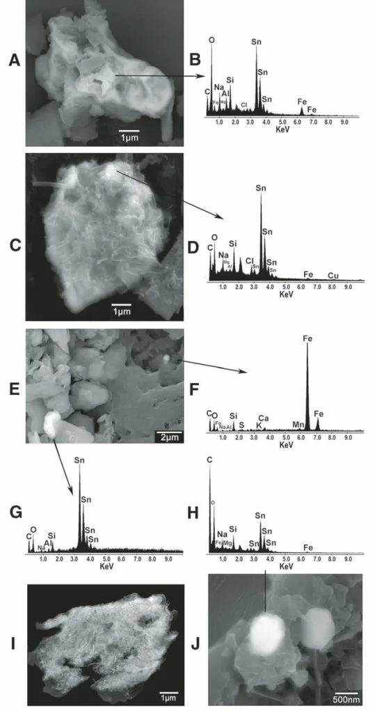 What Caused Terrestrial Dust Loading and Climate Downturns Between 533 and 540 A.D.? Scanning electron microscope (SEM) micrographs of particles from the ice core. (A, C, E, J) Sn-rich particles with one Fe-rich spherule in E. (B, D, F, G, H) Qualitative energy-dispersive X-ray microanalyses of compositions. (Note that the peak heights are not absolute so no scale is given for peak heights. This means that the relative heights of nearby spectral peaks provide a good estimate of relative abundances of these elements. In contrast, the relative heights of peaks with different energies are only loosely correlated to their relative abundance.) Four out of fi ve analyses are of Sn-rich particles. Analysis D shows a small but distinct Cu peak in addition to Sn peaks. The remaining analysis is of a Fe-rich spherule (F). (I) Ni-rich particle-analysis in Table 3. Ratios of backscattered and secondary electrons were adjusted to maximum the image quality: (A) 100% BSE (backscattered electron mode); (C, I) 50% BSE, 50% ILSE (in-lens secondary electron mode); (E) 90% BSE, 10% ILSE, (J) 50% BSE, 50% SE2 (standard secondary electron mode). Black arrows or lines point from particles to their spectra.  